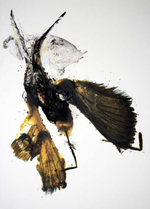 Mixed media on plastic canvas, 50 x 72 in. Luis Moro - Velvet Wings