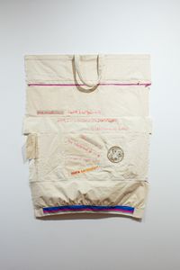 Annie Arnold - more seriously tote bag