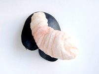 2013, Animal intestine, sterling silver, stainless steel, 4.5” x 4” x 2.5” Masumi Kataoka Untitled/Brooch