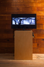 2012, 3-channel HD video installation, Duration: 12 minutes Bug Davidson - Martindale