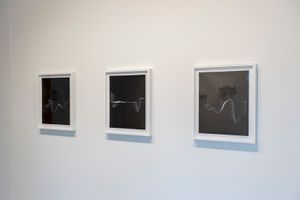 Echo 1, 2, 3