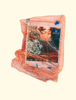 Colored pencil on paper, 12" x 19", 2014, Sold Joe Sinness - Veil