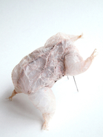 2013, Animal intestine, felt, nylon, sterling silver, stainless steel, 5” x 3.5” x 2” Masumi Kataoka Untitled/Brooch