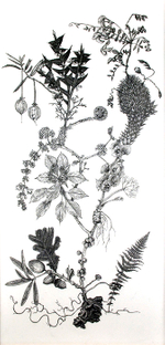 graphite on drafting film, 21.5” x 11.5” Leigh Anne Lester - Amalgamate Fusion