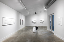 photographed by Colin Doyle Serene Disturbance install