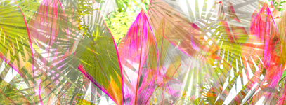 Archival pigment print, 26x70 inches, edition 1 of 5. Weave (June 27, 2017)