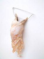 2013, Animal intestine, nylon, sterling silver, stainless steel, 7” x 3.5” x 2” Masumi Kataoka - Untitled/Brooch