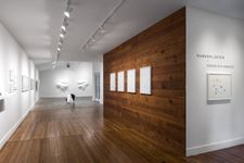 photographed by Colin Doyle Serene Disturbance install