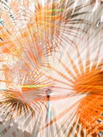 Archival pigment print, 42x31 1/2 inches, edition 1 of 9. Weave (June 7, 2017)