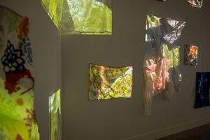 Growth Spurt - detail