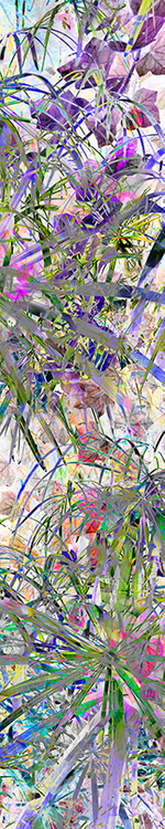 Archival pigment print, 90x18 inches, edition 1 of 5. Weave (December 9, 2017)