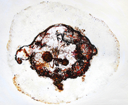 Mixed media on canvas, 11 x 10 in. Luis Moro - Ants