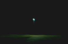 Archival inkjet print, 23 x 15 inches, 1/5 + 2AP Rebecca Marino - Nocturnal Light (CE-I)