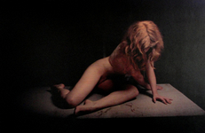UV photo print direct on birch plywood, 35” x 23” Hernandez / Hundley - The Island