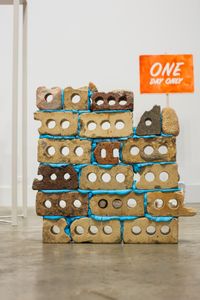 Cheyenne Weaver - Re-earthing 3