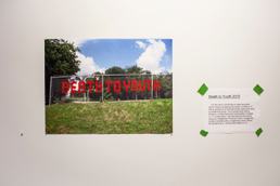 Inkjet print, 2015. 18" x 24" Pat Snow - Death to Youth