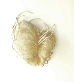 2013, Animal intestine, nylon, leather, sterling silver, 4” x 3.5” x 1.5” Masumi Kataoka Untitled/Brooch