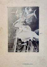 Photos augmented with graphite, gouache, acrylic, 4.25” x 6.5” Cherie Weaver - GMO-Occlusion: ILL. 001