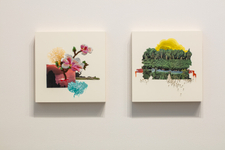 Suchitra Mattai - an intimate preservation & emerald city