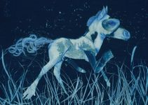 Pony Boys