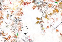 Archival pigment print, 36x53 inches, edition 1 of 5. Weave (November 6, 2017)