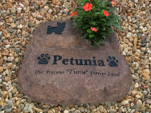 Petunia with Flower Plant.jpg