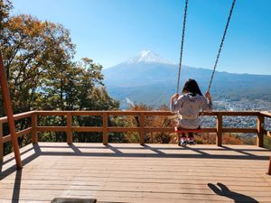 The best view of Mt Fuji 