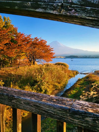 See the iconic Mt. Fuji in all its glory!