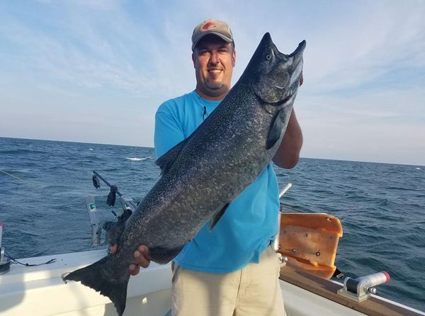 Lake Ontario Salmon Charter