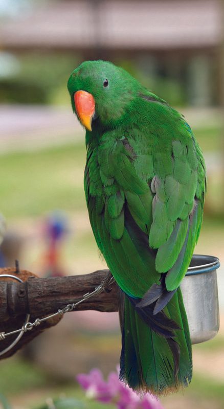 Zosil Marketing Flyer-5.jpg