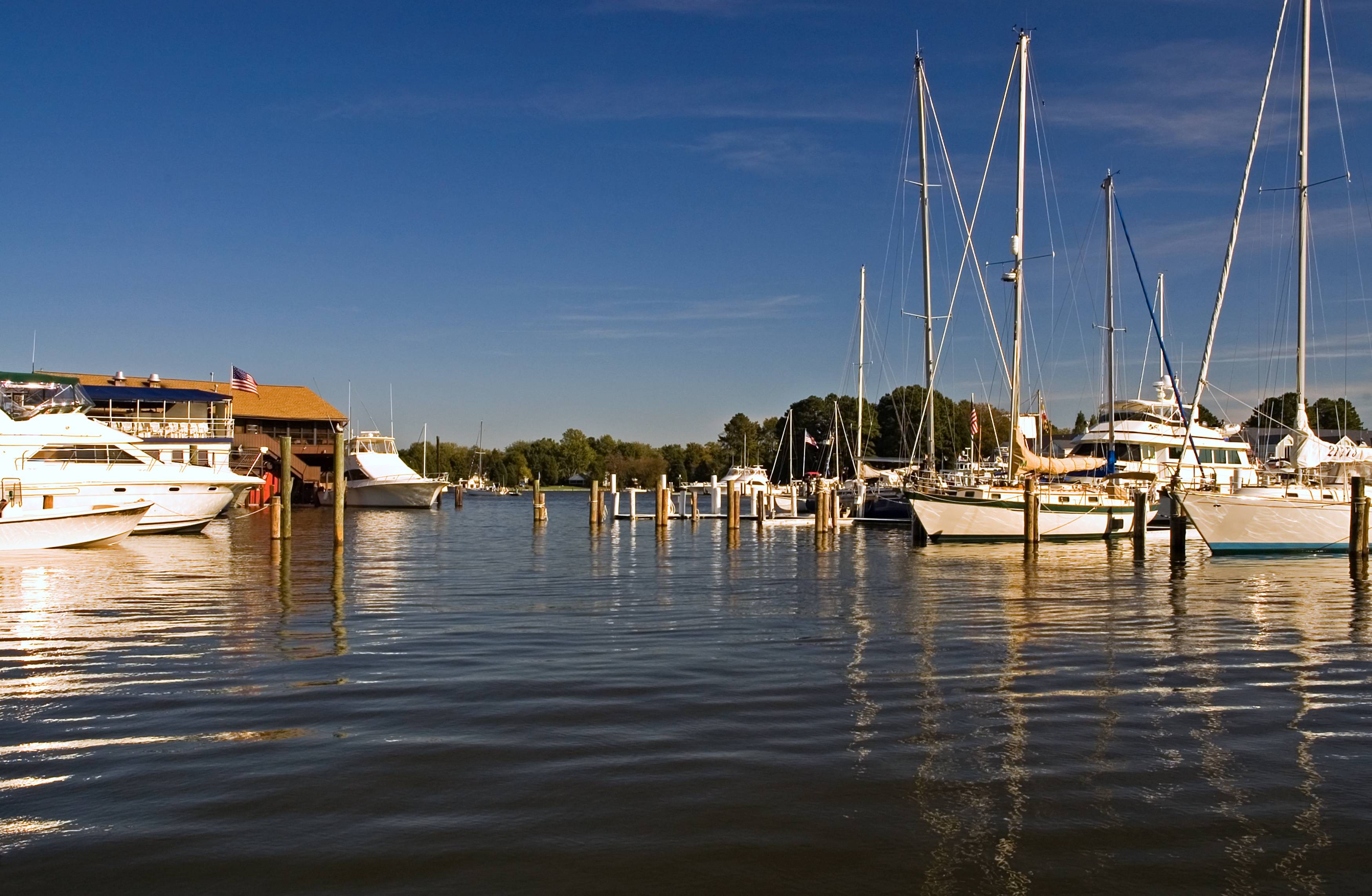 Boats in the Chesapeake Bay Homepage Hero Banner