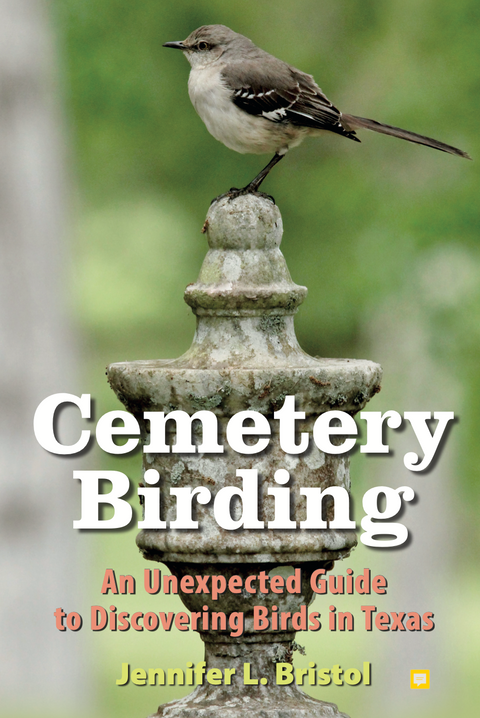 Cemetery Birding Bristol