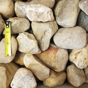 calico - 67.5.jpg