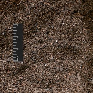 02 - potting soil.jpg
