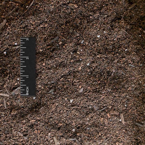 02 - potting soil.jpg