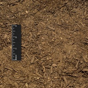 01 - rain garden mix.jpg