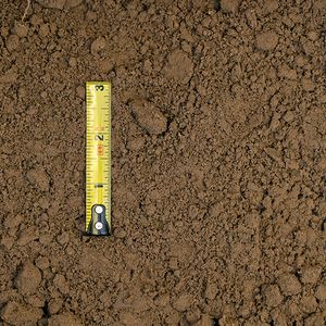 soils-pit-chocolate-loam-01-xl.jpg