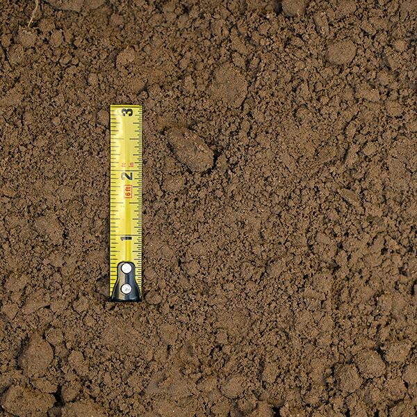 soils-pit-chocolate-loam-01-xl.jpg