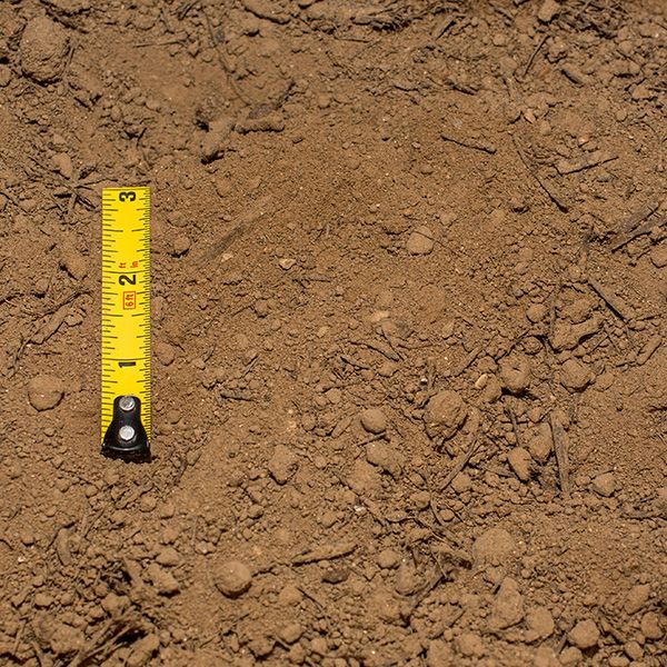 soils-landscape-mix-01-xl.jpg