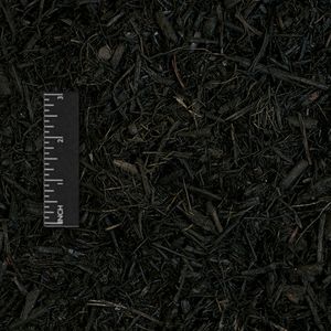 01 - mulches black dyed.jpg