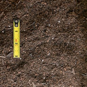 potting soil.jpg