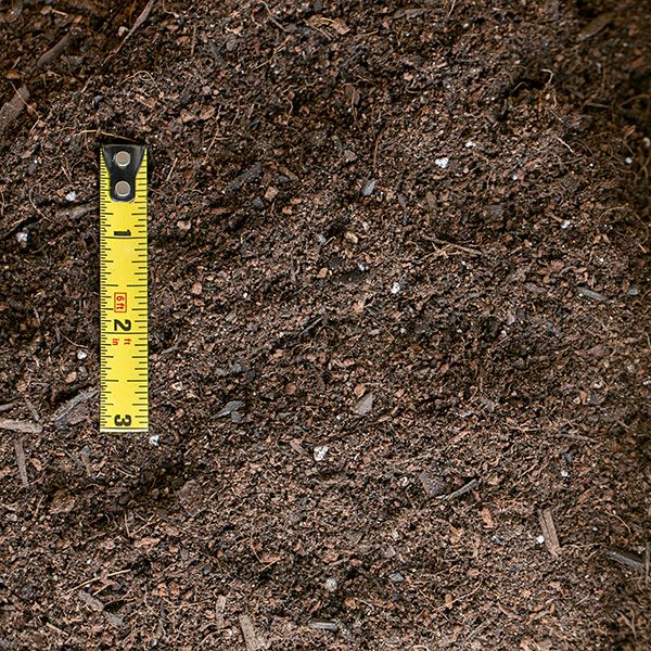 potting soil.jpg