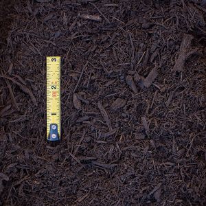 mulches-living-mulch-01-xl.jpg