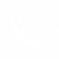 Contact Icon