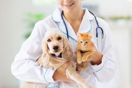 Pet Prescriptions