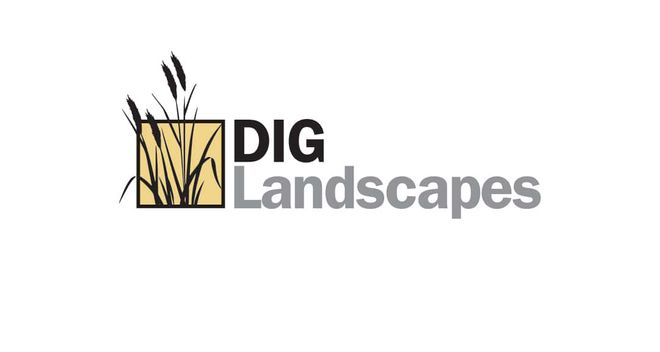 DIG.logo-min.jpg