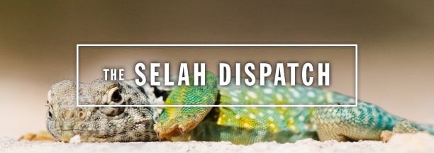 selah.dispatch.header.winter.2015 copy-min.jpg