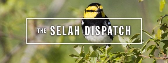 selah.dispatch.header.summer.2015 copy-min.jpg