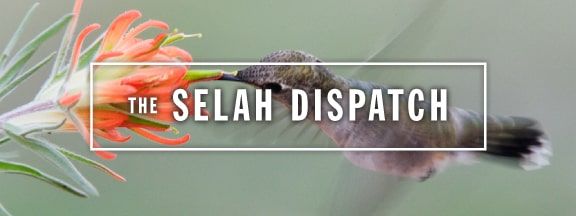 selah.dispatch.header.spring.2015 copy-min.jpg