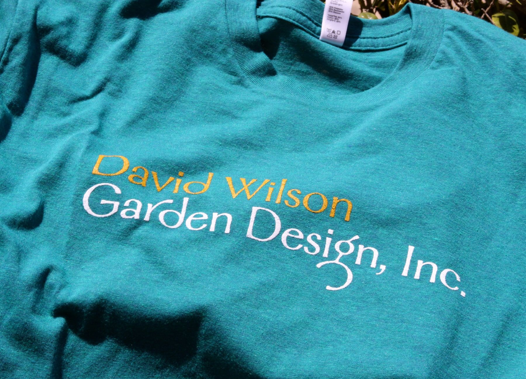 dwgd.teal.shirt-min.jpg